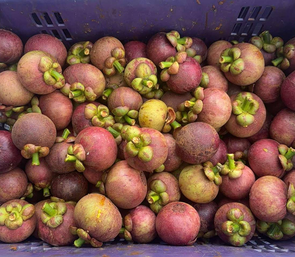 ขายส่งมังคุด