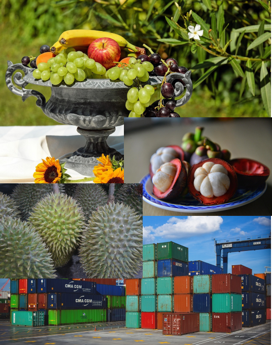 ส่งออก OEM